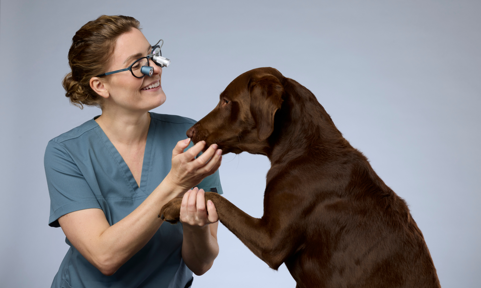 Lupas para veterinarios