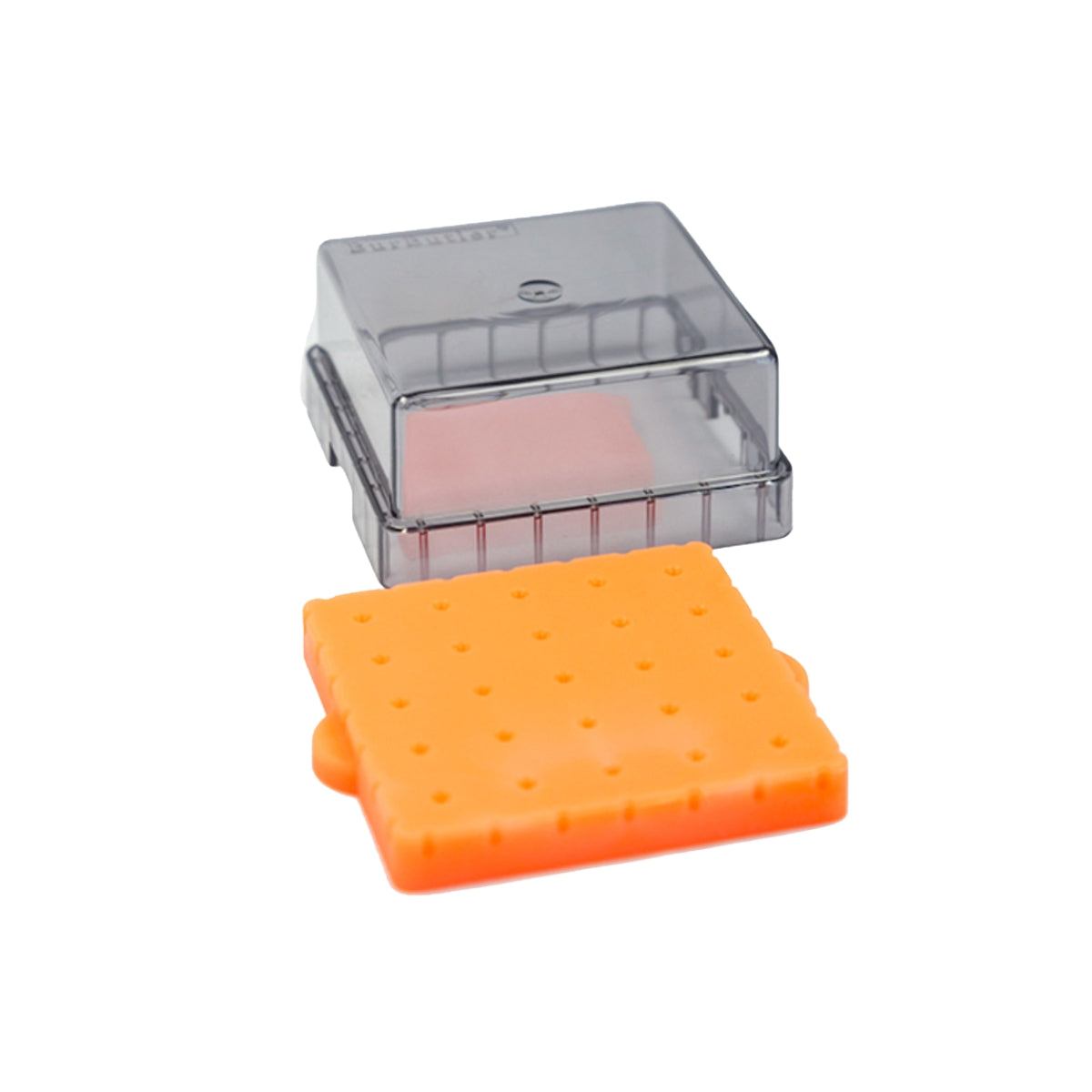 Forma de silicone para morangos com 25 cavidades e tampa baixa.